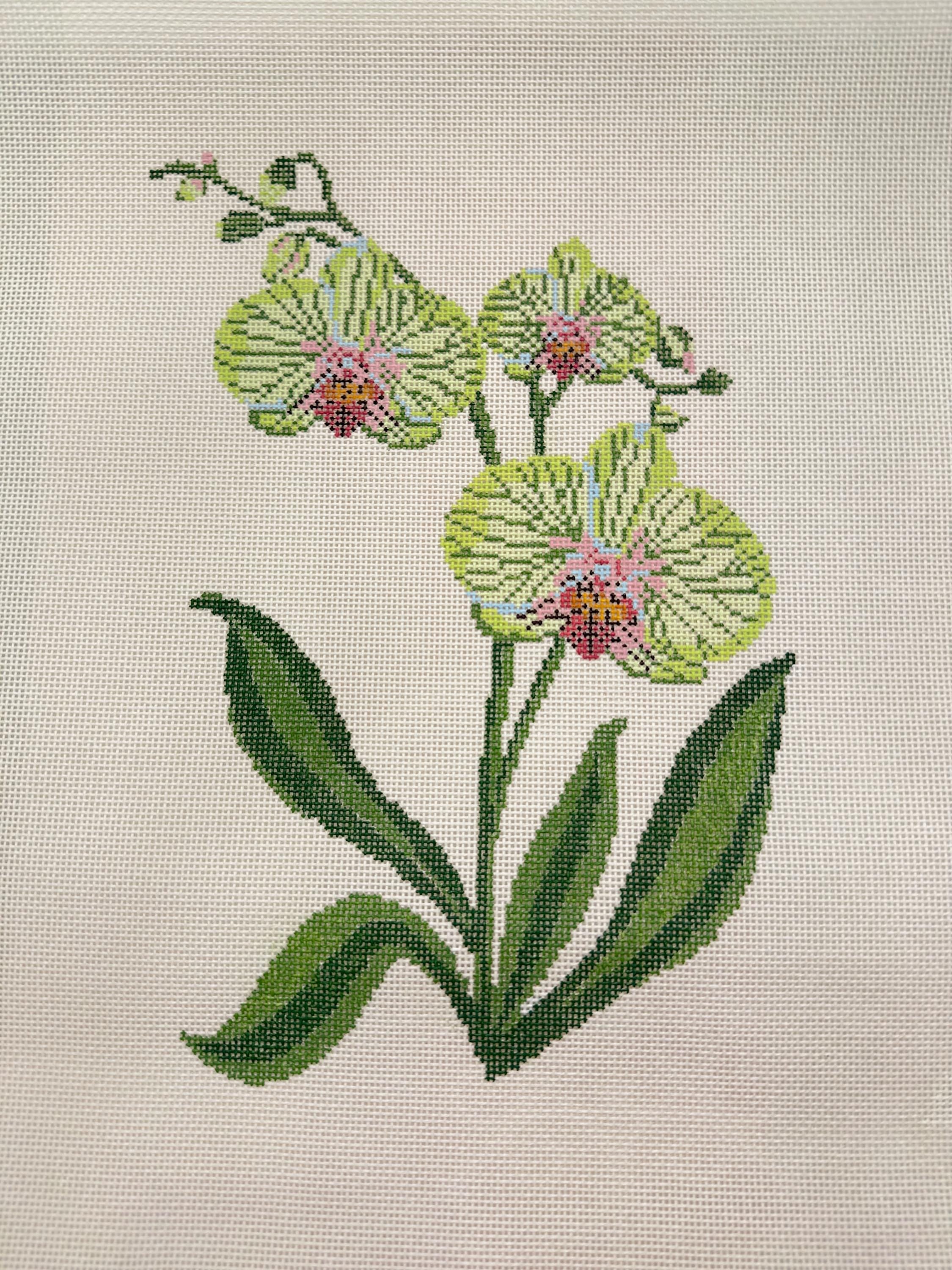 Green Orchid Large - Digital Needlepoint Chart