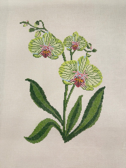 Green Orchid Large - Digital Needlepoint Chart