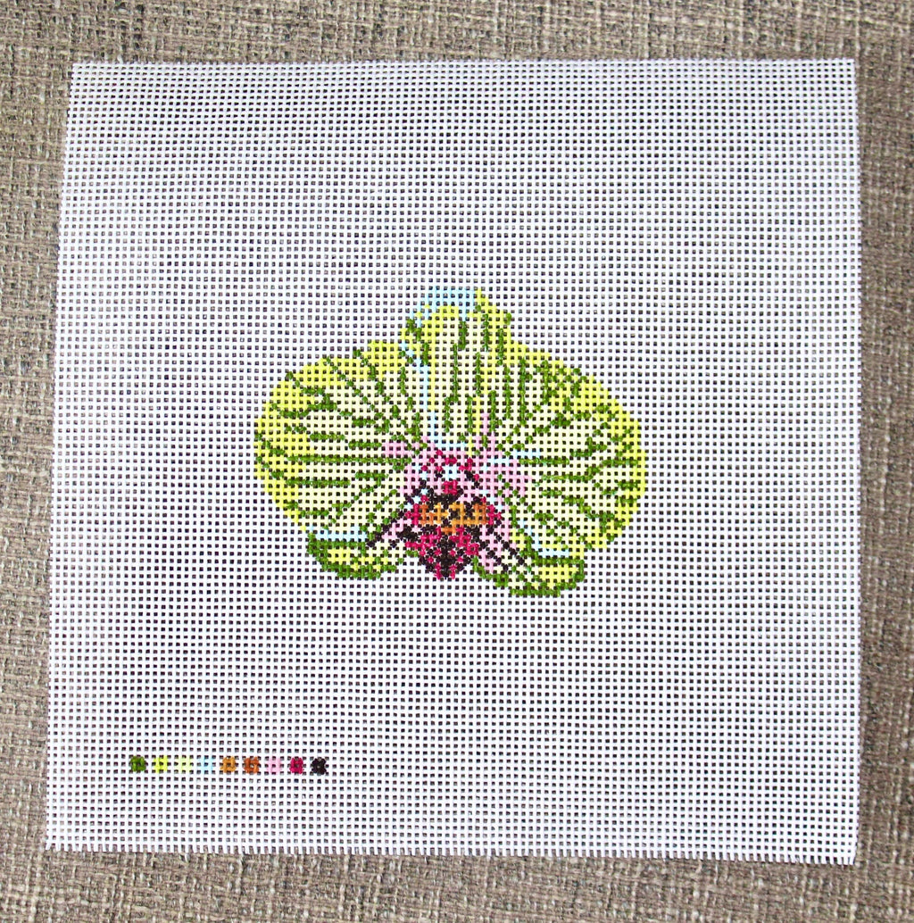 Light Green Orchid Hand Painted Canvas on 13 Mesh