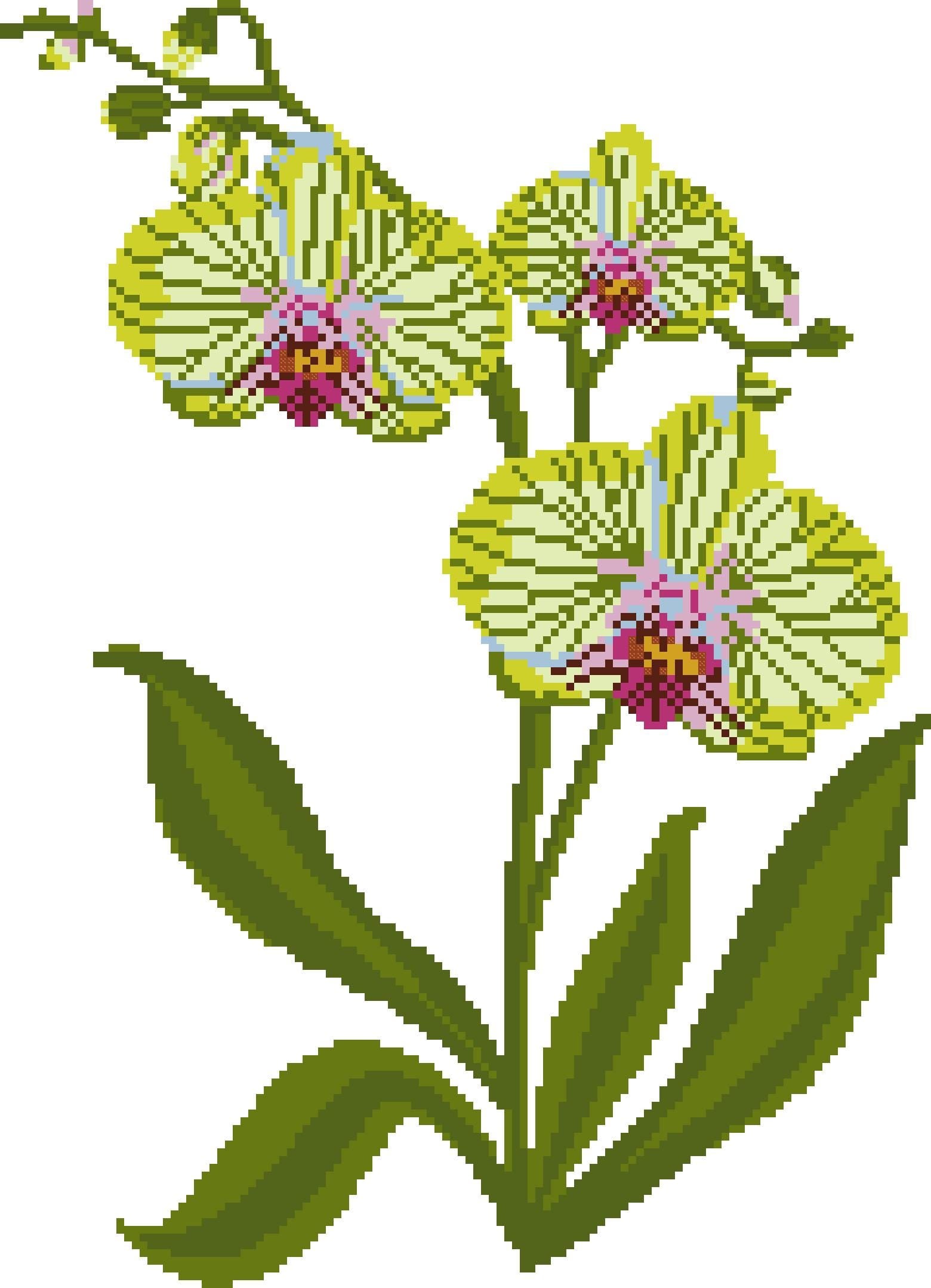 Green Orchid Large - Digital Needlepoint Chart